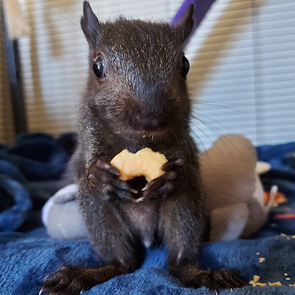 Meet your Posher, Kim - Picture 1 of 5